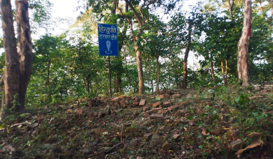 Glimpses of Ghode Jatra celebration